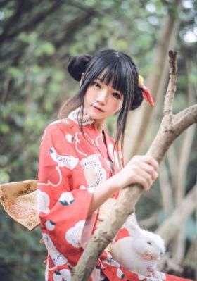九重紫电视剧在线播放视频观看