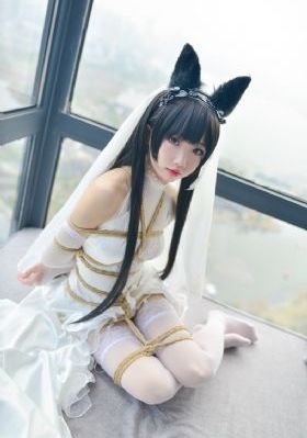 黄a在线观看